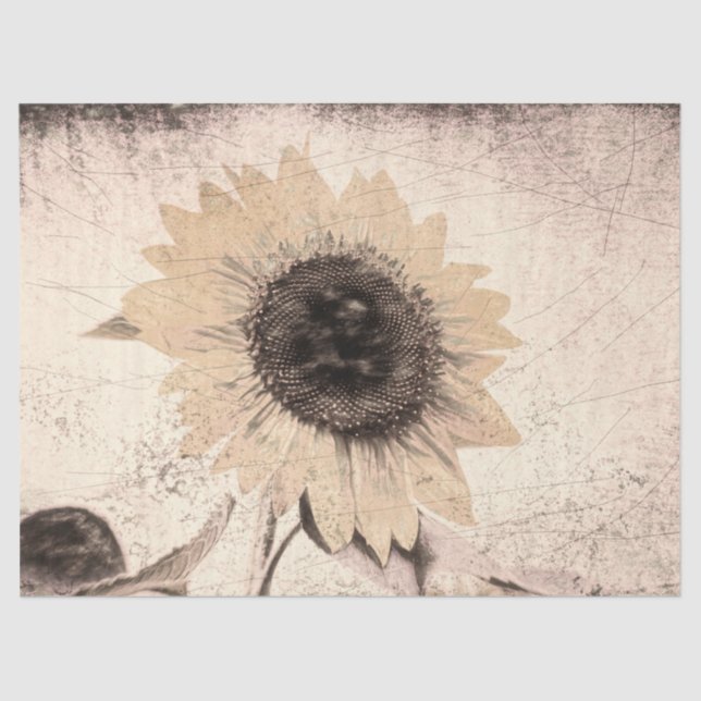 Papel De Seda Textura marrón marrón de girasol gigante (Anverso)