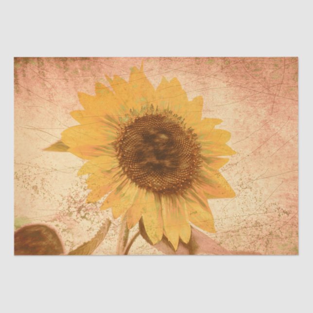 Papel De Seda Textura marrón marrón de girasol gigante (Anverso)