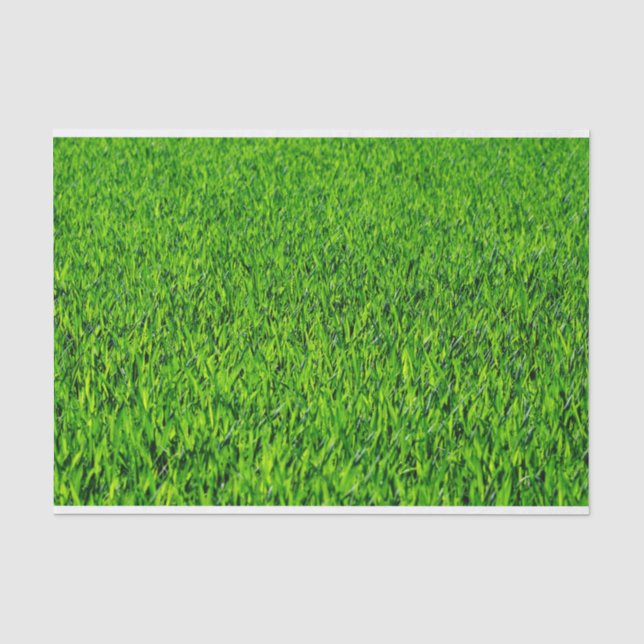 Papel De Seda Textura verde de la hierba del verano (Anverso)