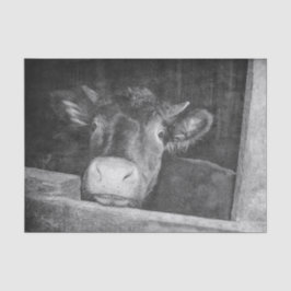 Papel De Seda Textura Vintage Vaca De País Blanco Y Negro