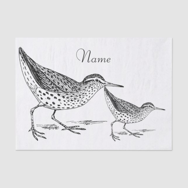 Papel De Seda Thunder_Cove de Sandpiper (Anverso)