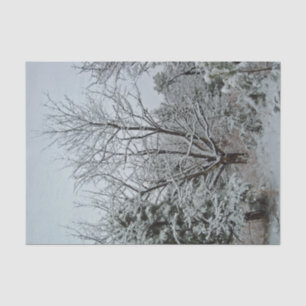 Papel De Seda Tierra de Maravillas del Invierno