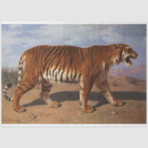 Tigre aletargado (por Rosa Bonheur)