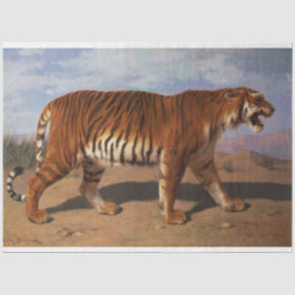 Papel De Seda Tigre aletargado (por Rosa Bonheur)