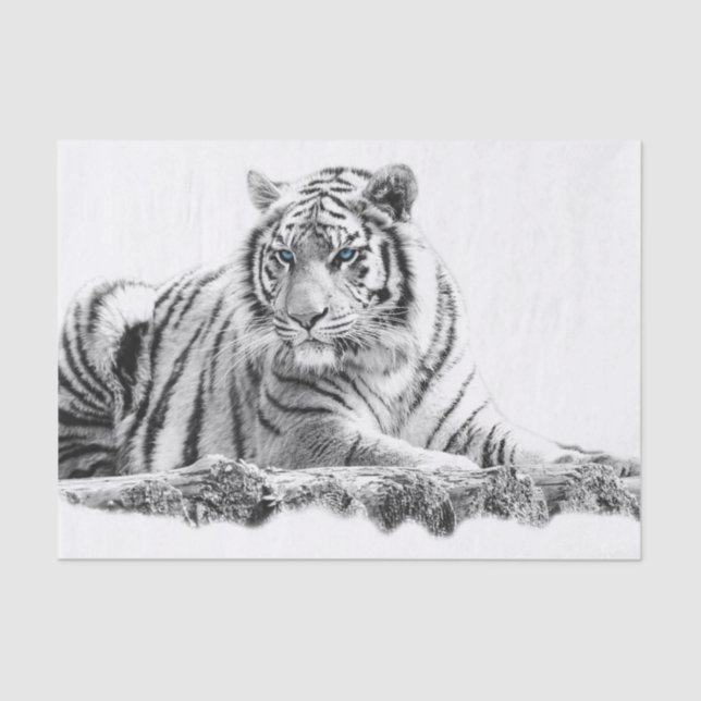 Papel De Seda Tigre blanco bengalí (Anverso)