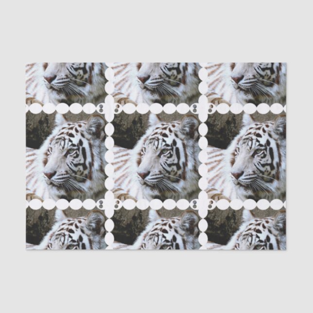Papel De Seda Tigre blanco hecho frente dulce (Anverso)
