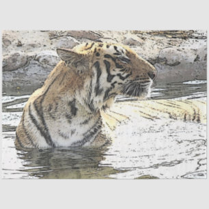 Papel De Seda Tigre de California 118