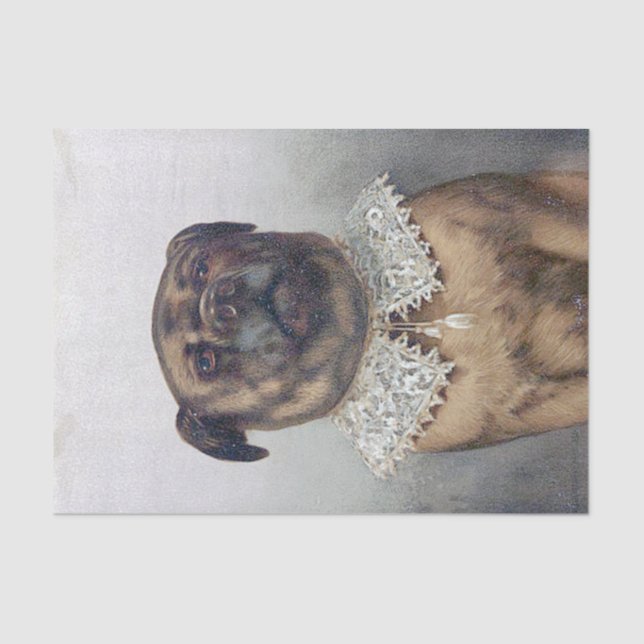 Papel De Seda Tío Toby, arte típico de Kitch de Frederick (Anverso)