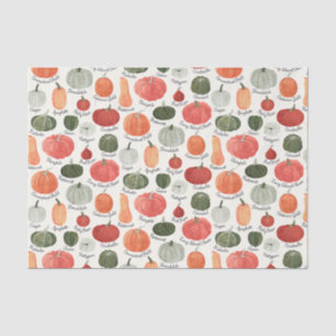 Papel De Seda Tipos de calabaza ilustrados