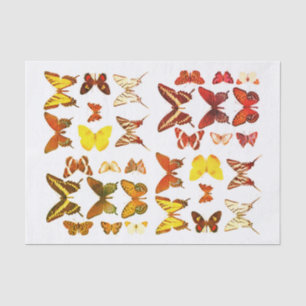 Papel De Seda Tipos de mariposas colección Rojo Amarillo