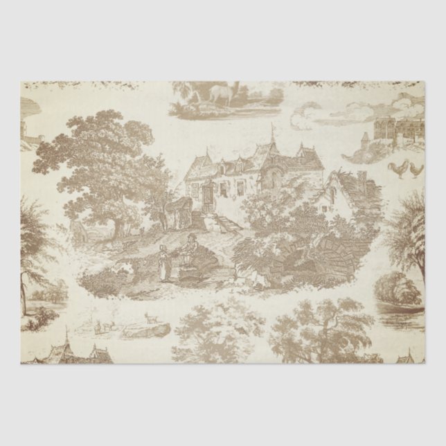 Papel De Seda Toile Chateau Francés clásico beige blanco (Anverso)