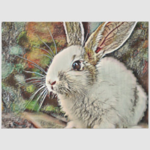 Papel De Seda toony bunny