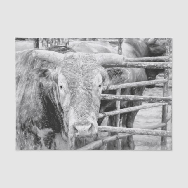 Papel De Seda Toro de Rodeo Rústico Negro y Blanco Country Weste (Anverso)