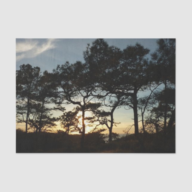Papel De Seda Torrey Pine Sunset II California (Anverso)