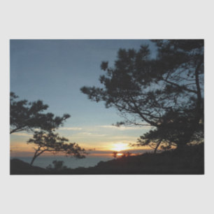 Papel De Seda Torrey Pine Sunset III California