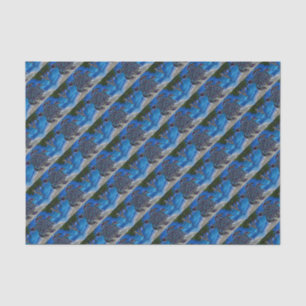 Papel De Seda Tortuga