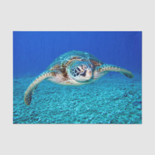 Papel De Seda Tortuga de mar de la natación