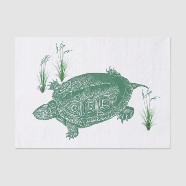 Papel De Seda Tortuga del Mar Verde (Anverso)