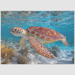 Papel De Seda Tortuga Marina en Decoupage de Agua Transparente