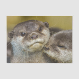 Papel De Seda Totalmente Enamorado