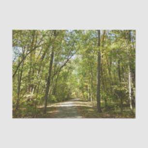 Papel De Seda Trail del lago Kittamaquandi en Columbia Maryland