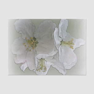 Papel De Seda tres flores blancas