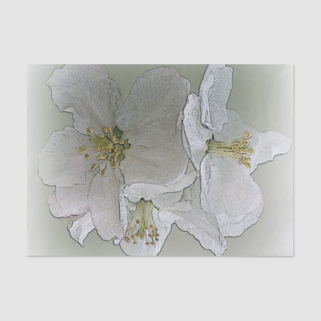 Papel De Seda tres flores blancas (Anverso)