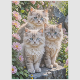 Papel De Seda Tres gatitos esponjosos con Mamáes rosas