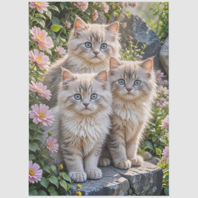 Papel De Seda Tres gatitos esponjosos con Mamáes rosas (Anverso)
