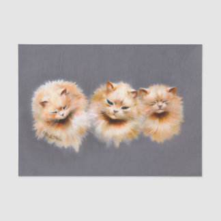 Papel De Seda Triple Fluffy Cats Arte Felino Vintage Decoupage