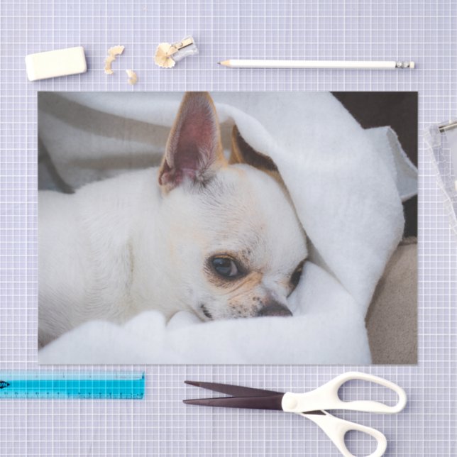 Papel De Seda Tu mascota perro cachorro personalizado foto chihu (Artesanía)