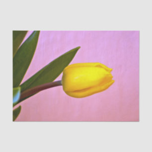 Papel De Seda Tulipán amarillo, hojas verdes, en rosa