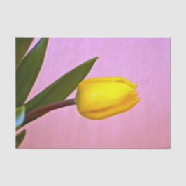 Papel De Seda Tulipán Amarillo, Hojas Verdes, sobre Rosa