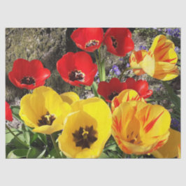 Papel De Seda Tulipanes amarillos y rojos