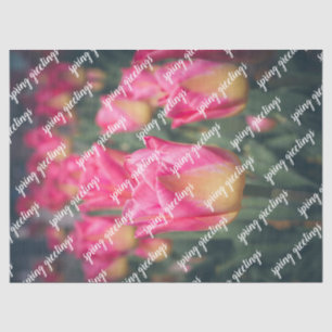 Papel De Seda Tulipanes de primavera de estilo vintage rosa