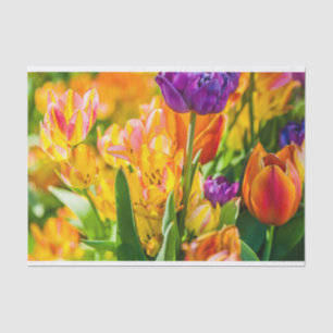 Papel De Seda Tulipanes Encantadores 01