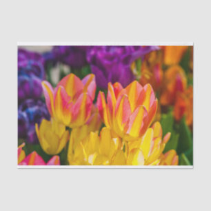 Papel De Seda Tulipanes encantadores 16