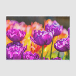 Papel De Seda Tulipanes Encantadores Púrpura