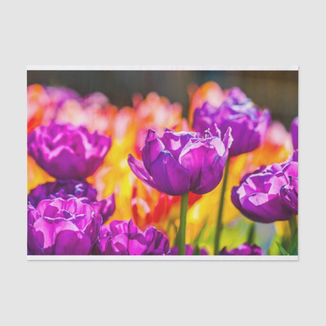Papel De Seda Tulipanes Encantadores Púrpura (Anverso)