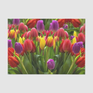 Papel De Seda Tulips brillante