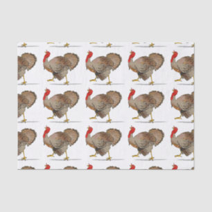 Papel De Seda Turquía