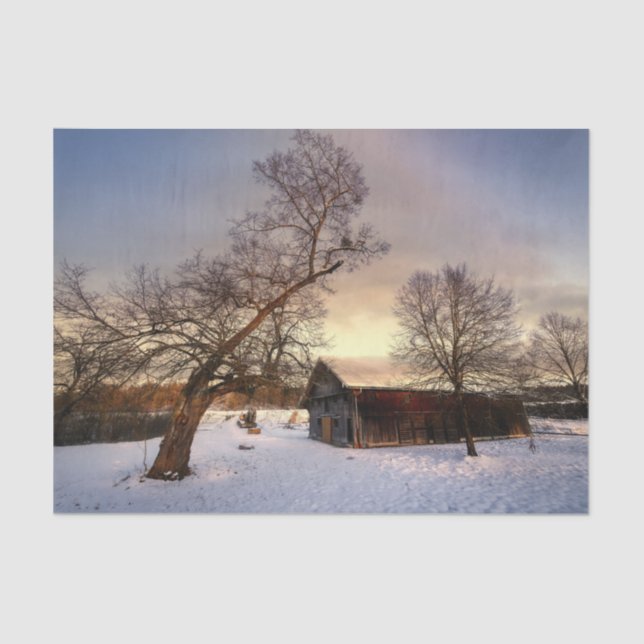 Papel De Seda Un árbol de invierno que protege un granero de are (Anverso)