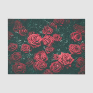 Papel De Seda Un "Campo" de Rosas Rojas Americanas Entre Hojas