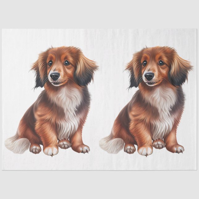 Papel De Seda Un diseño de la serie Perro Pequeño 18 (Anverso)