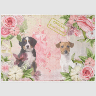 Papel De Seda Un diseño de la serie Shabby Chic 15