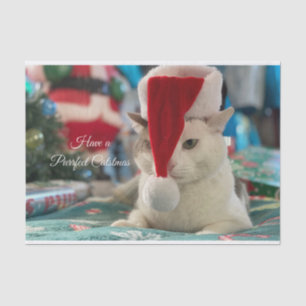 Papel De Seda Un gato con Navidades divertidos de Navidad