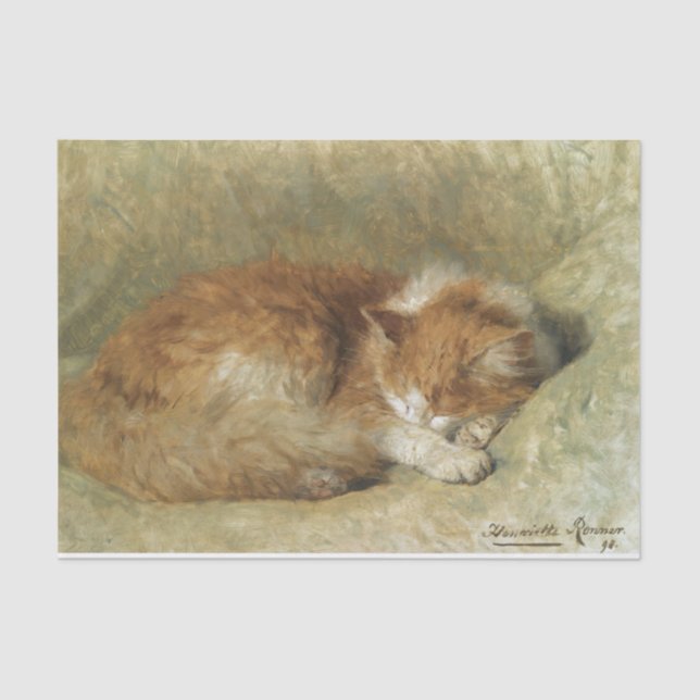 Papel De Seda Un gato durmiente de Henriette Ronner-Knip (Anverso)