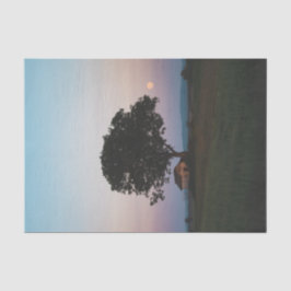 Papel De Seda Un gran árbol solitario que protege un granero