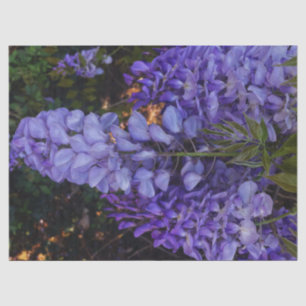 Papel De Seda un hermoso toque de la naturaleza 