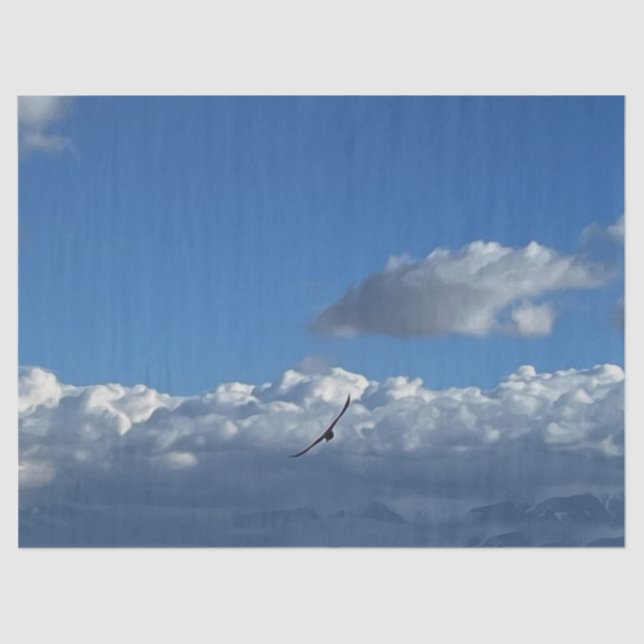 Papel De Seda Un vuelo bajo las nubes (Anverso)